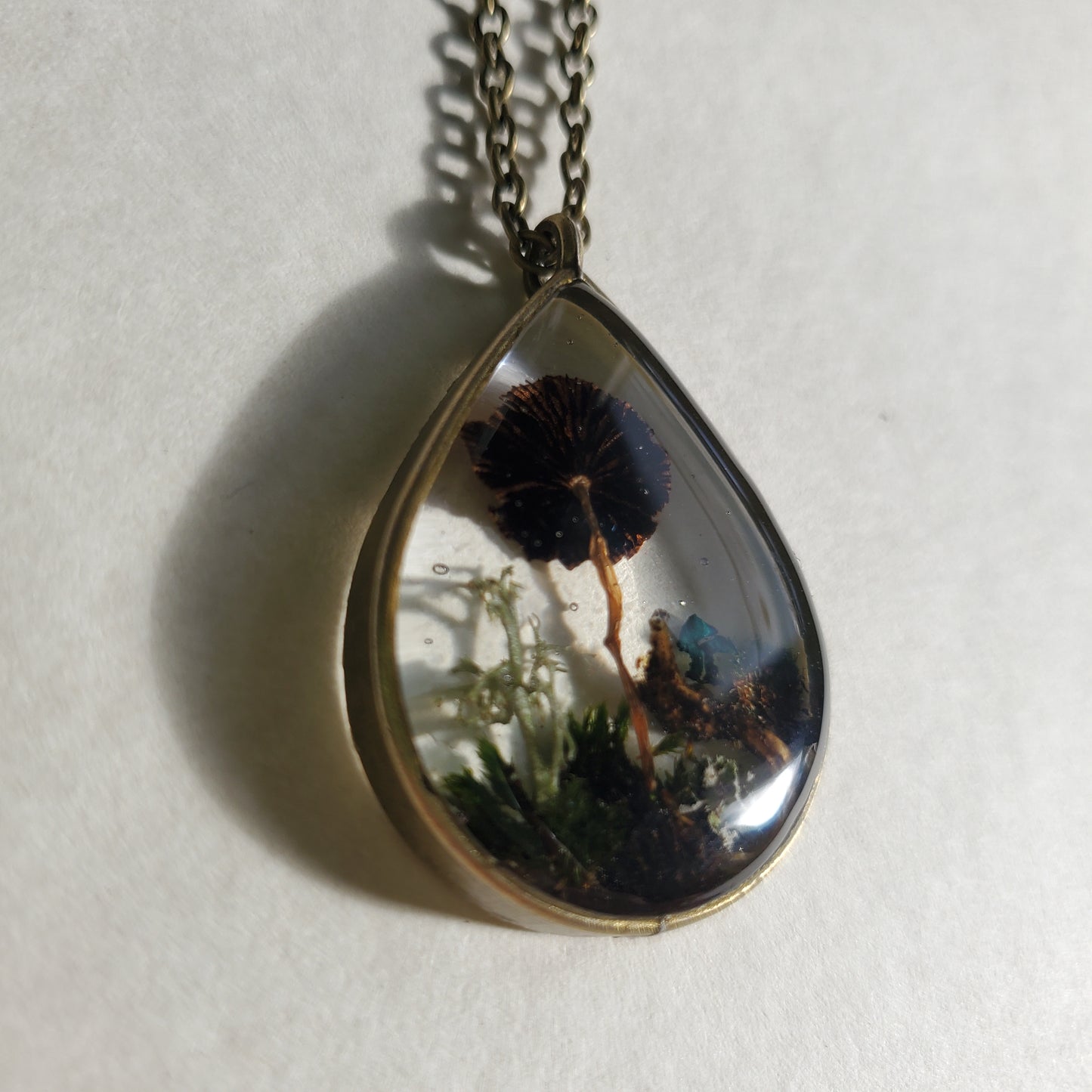 Teardrop #1
