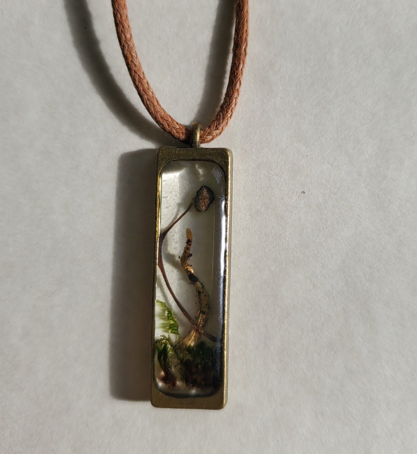 Rectangle with Cord #3