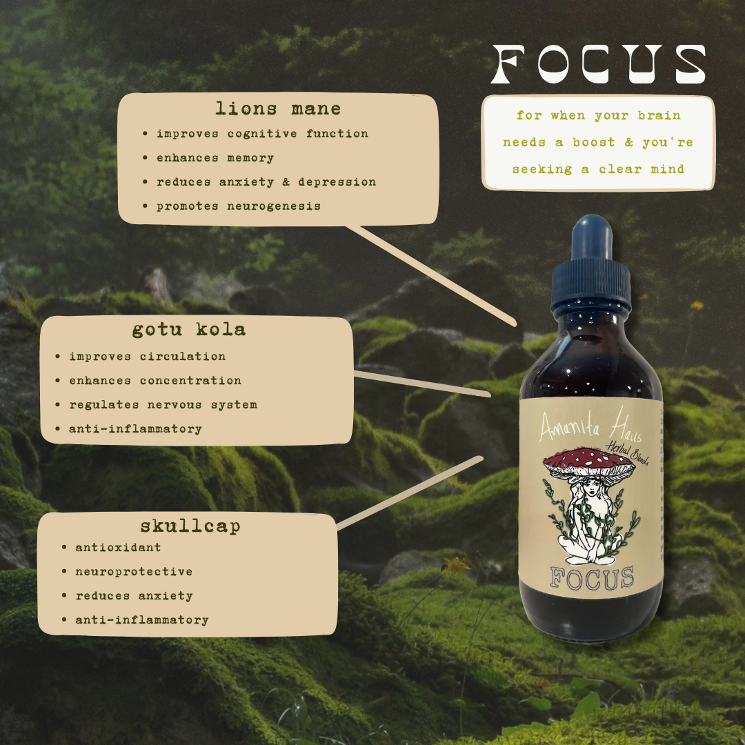 Focus Oxymel