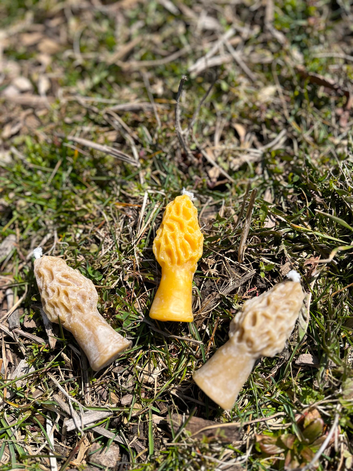 Mini Morel Candle