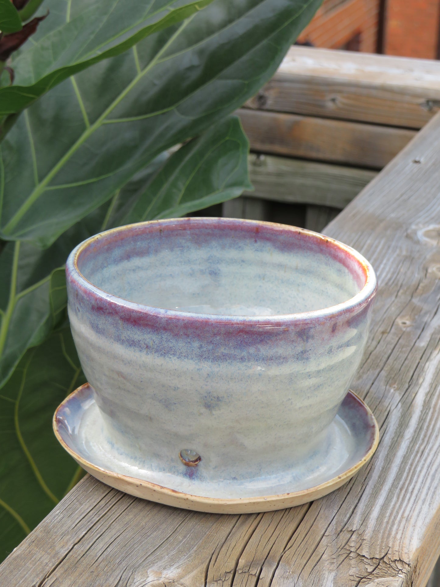 Planter Pot with Drainage