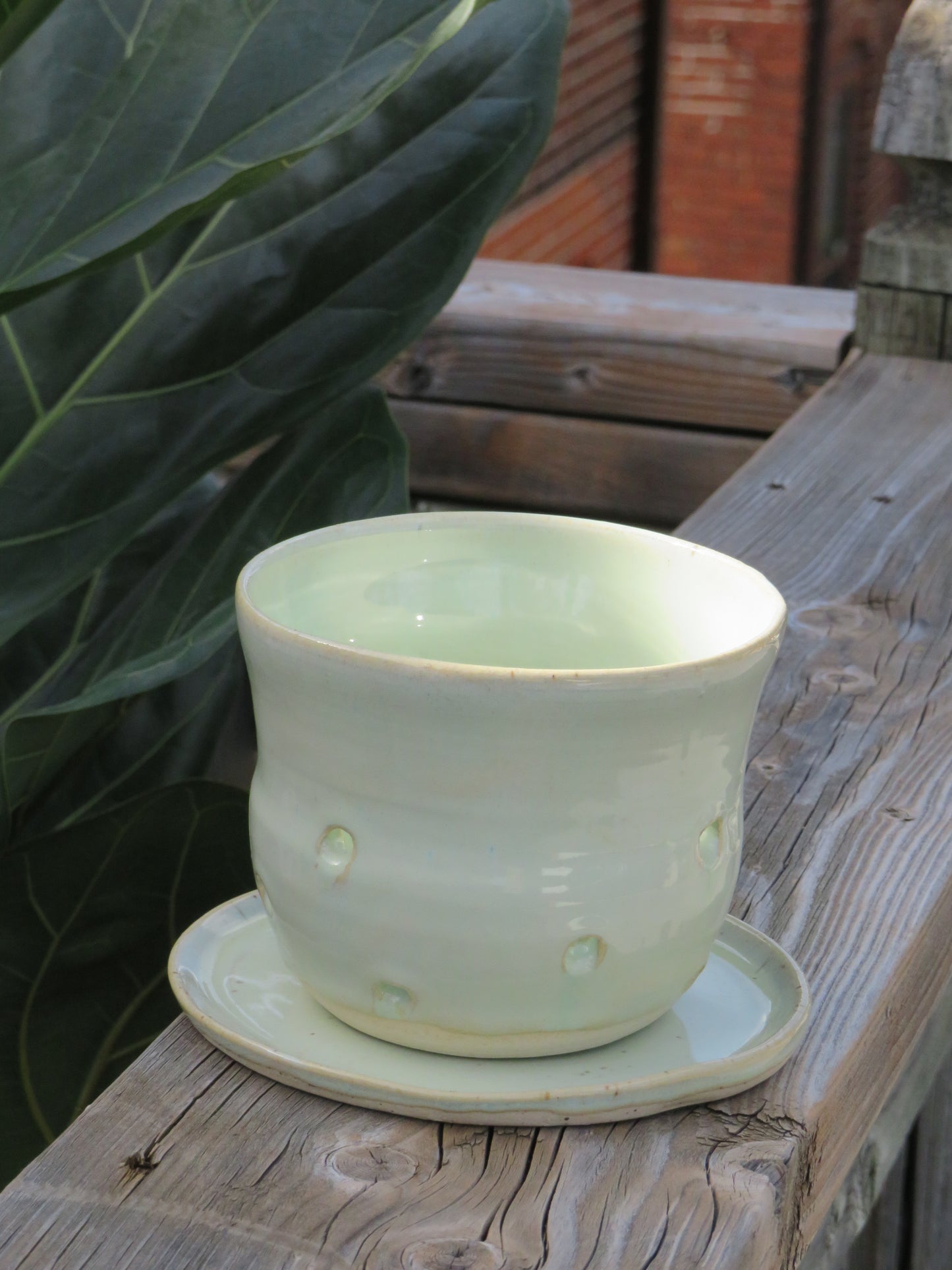 Honeydew Berry Bowl