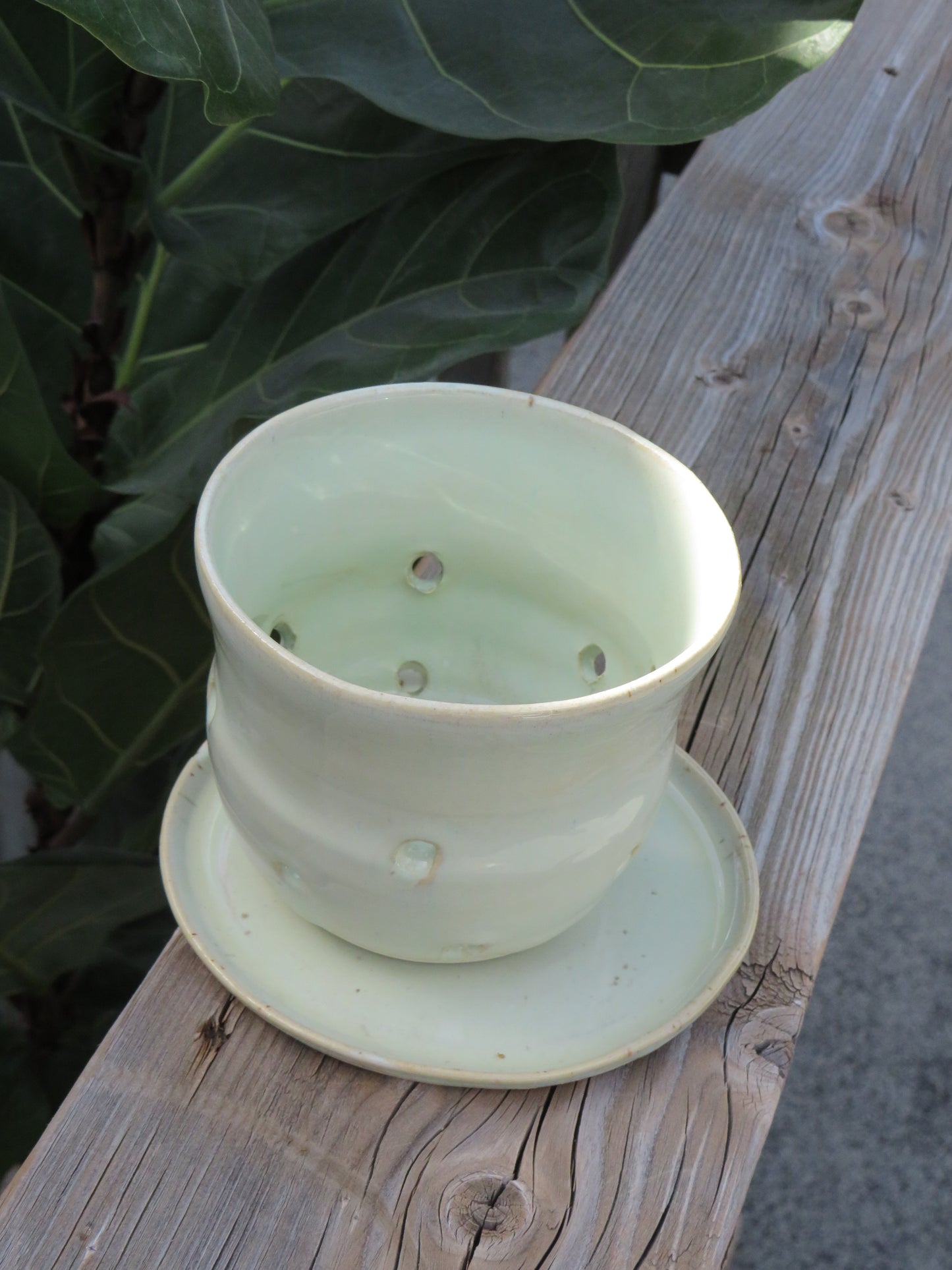 Honeydew Berry Bowl