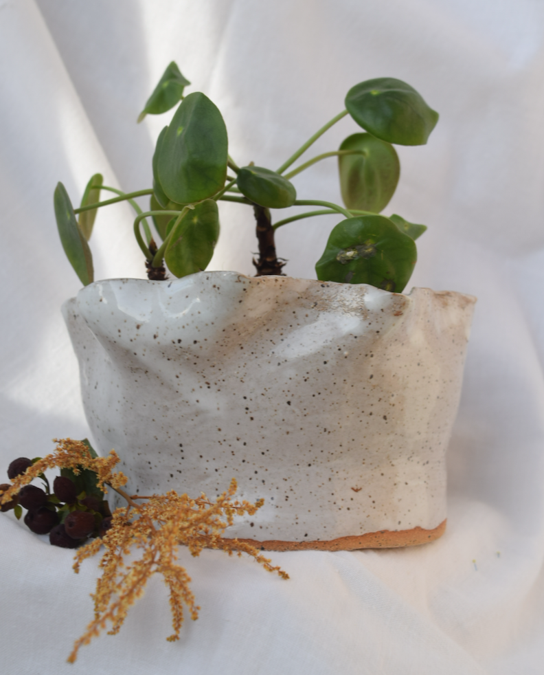 Large White Speckled Pot