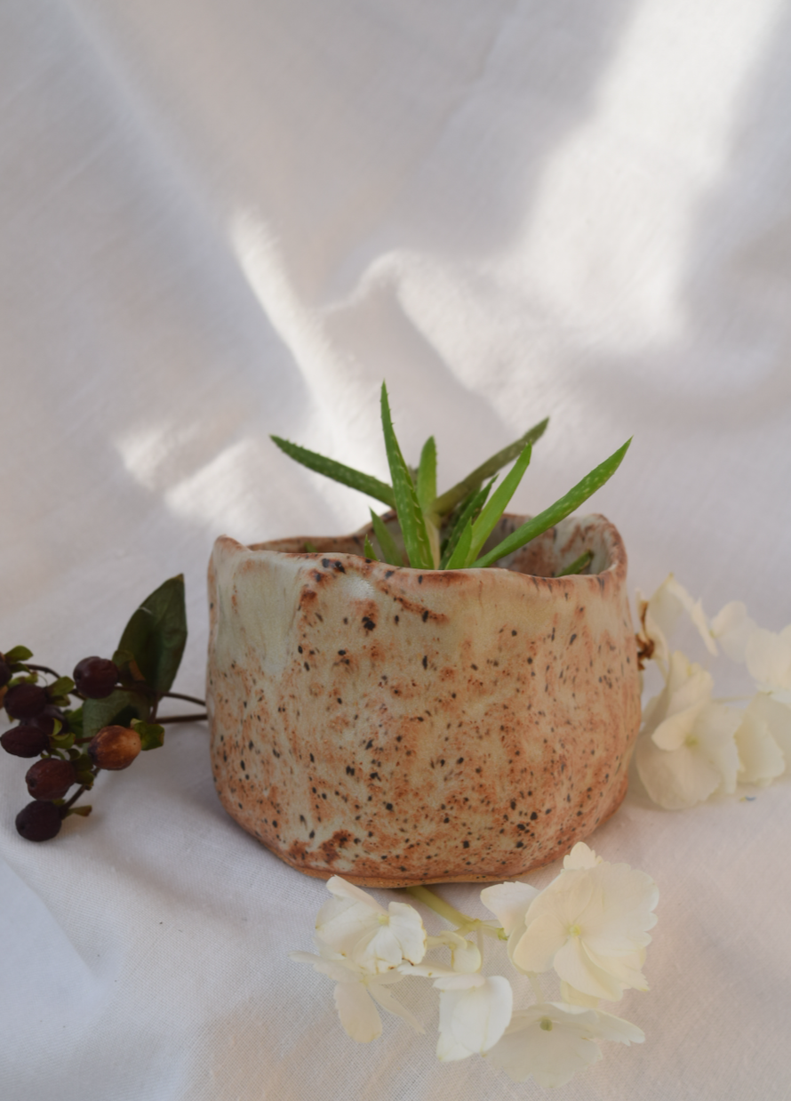 Raw Hand-built Succulent Pot
