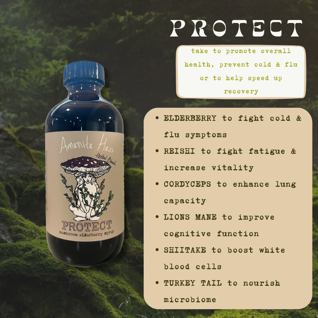 Protect Mushroom Elderberry Syrup