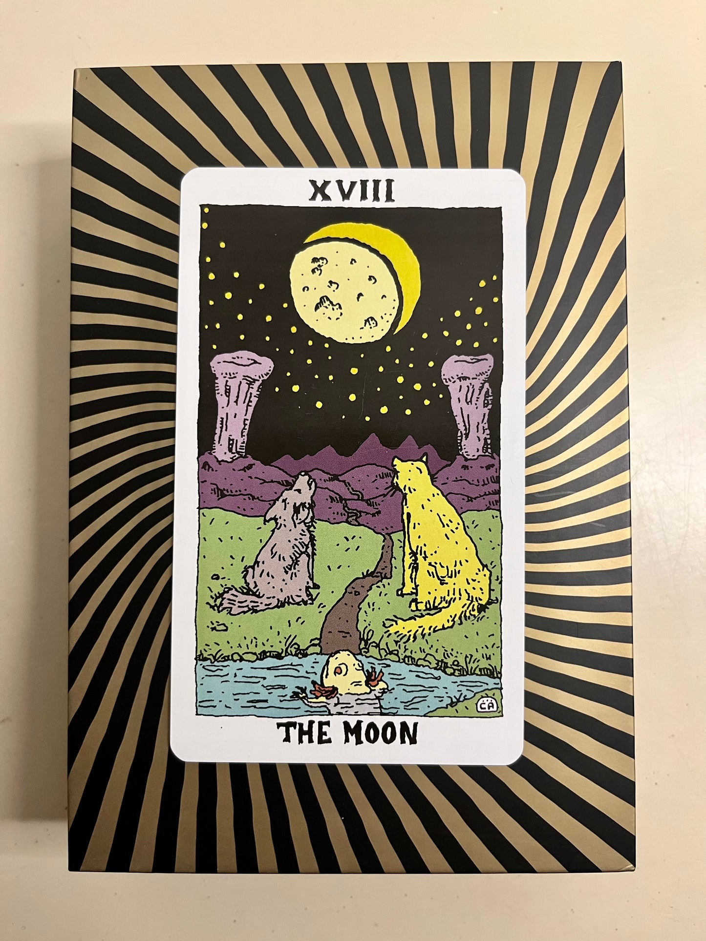 Mushroom Tarot Deck